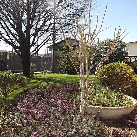 Bed and Breakfast Il Gelsomino Ferno Exterior foto